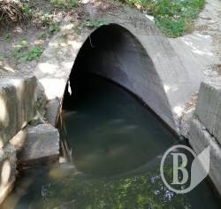 Дочищають нирки Чернігова від каміння Дочищають нирки Чернігова від каміння